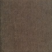 Fossil 08